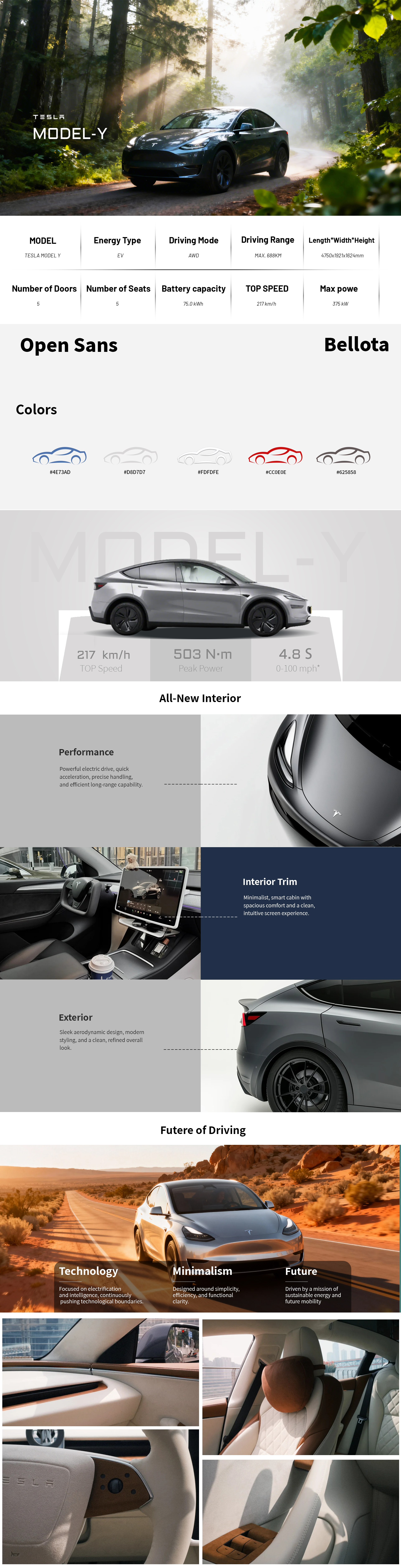 Detailed description