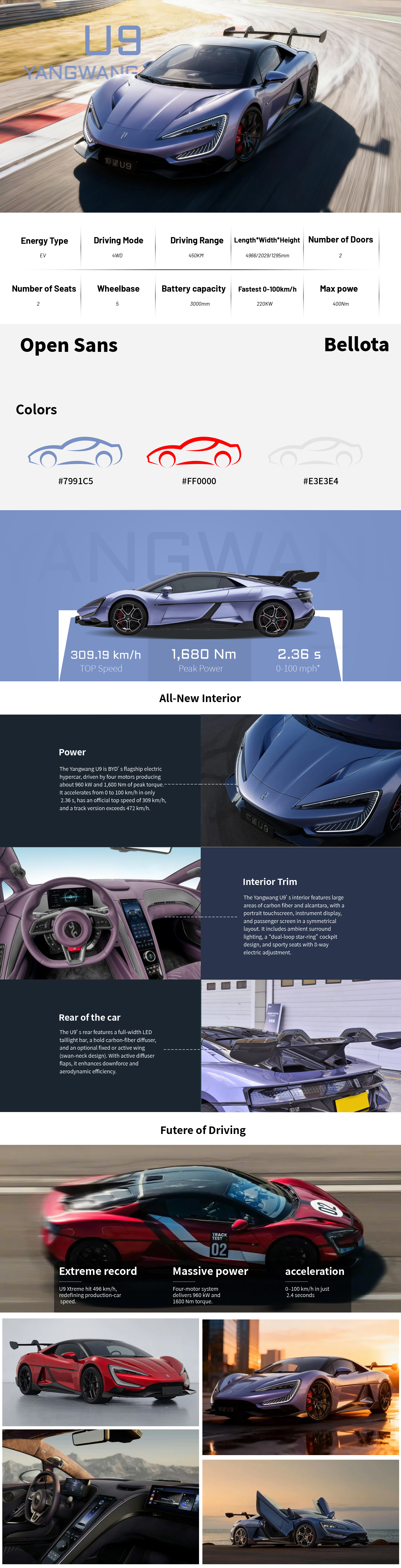 Detailed description